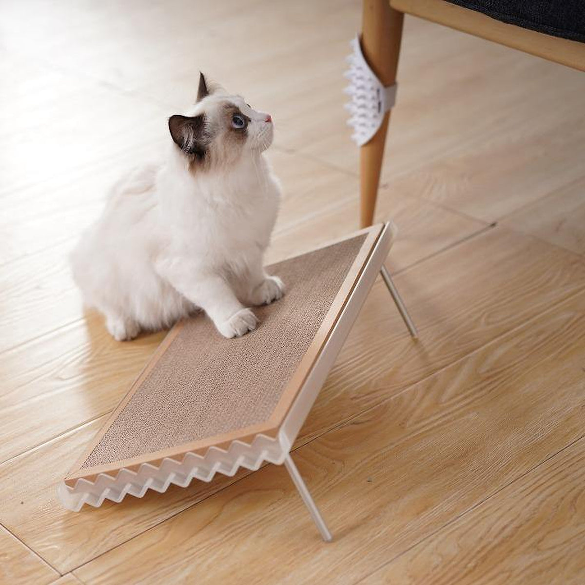 REVISED | PIDAN Wave Cat Scratcher Board with Refill gallery revision 18 [Gallery: Comparison]