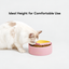 VETRESKA Like A Watermelon / Grapefruit Ceramic Bowl For Cats & Dogs | detail image 7 | square correction | FULL_FRAME_OUTPAINT_TEXT_LAYOUT_REBUILD | 20260919