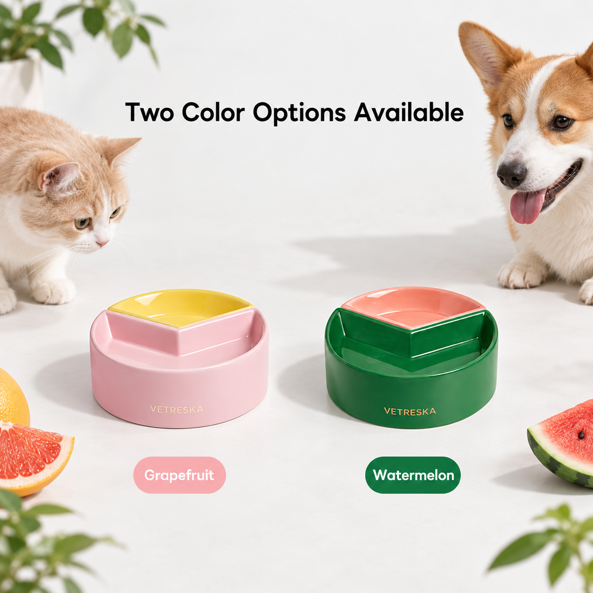 VETRESKA Like A Watermelon / Grapefruit Ceramic Bowl For Cats & Dogs | detail image 8 | square correction | FULL_FRAME_OUTPAINT_TEXT_LAYOUT_REBUILD | 20260919