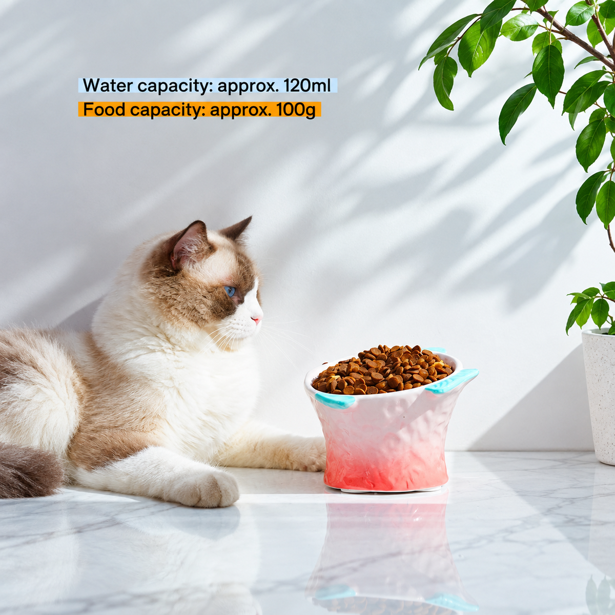 Raised Tilted Ceramic Cat Bowl - Cute Elevated Slanted Shallow Angled Cat Dish - Personalized Pet Feeder for Food Feeding - Ergonomic Anti Vomiting Whisker Fatigue - Size for Cat and Small Dog | detail image 9 | square correction | FULL_FRAME_OUTPAINT_TEXT_LAYOUT_REBUILD | 20260919
