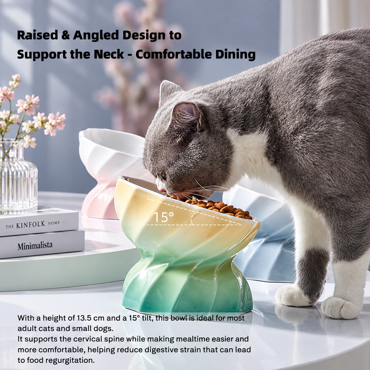 Macaron Gradient Ceramic Pet Bowl | detail image 4 | square correction | FULL_FRAME_OUTPAINT_TEXT_LAYOUT_REBUILD | 20260919
