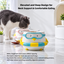 Penguin Swim Ring Ceramic Pet Bowl | detail image 4 | square correction | FULL_FRAME_OUTPAINT_TEXT_LAYOUT_REBUILD | 20260919