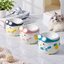 Penguin Ski Ceramic Pet Bowl | detail image 3 | square correction | FULL_FRAME_OUTPAINT_TEXT_LAYOUT_REBUILD | 20260919
