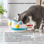 Hip-Hop Penguin Ceramic Pet Bowl | detail image 4 | square correction | FULL_FRAME_OUTPAINT_TEXT_LAYOUT_REBUILD | 20260919