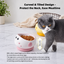 Little Crybaby Ceramic Pet Bowl | detail image 4 | square correction | FULL_FRAME_OUTPAINT_TEXT_LAYOUT_REBUILD | 20260919