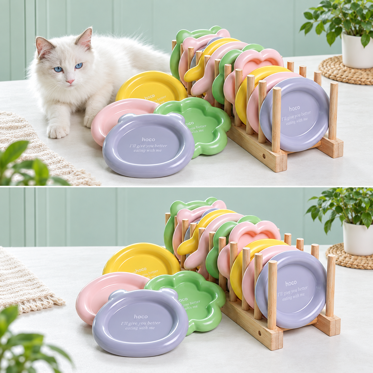 Colorful Ceramic Pet Plates | detail image 18 | square correction | FULL_FRAME_OUTPAINT_TEXT_LAYOUT_REBUILD | 20260919