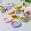 Colorful Ceramic Pet Plates | detail image 20 | square correction | FULL_FRAME_OUTPAINT_TEXT_LAYOUT_REBUILD | 20260919