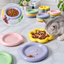 Colorful Ceramic Pet Plates | detail image 21 | square correction | FULL_FRAME_OUTPAINT_TEXT_LAYOUT_REBUILD | 20260919