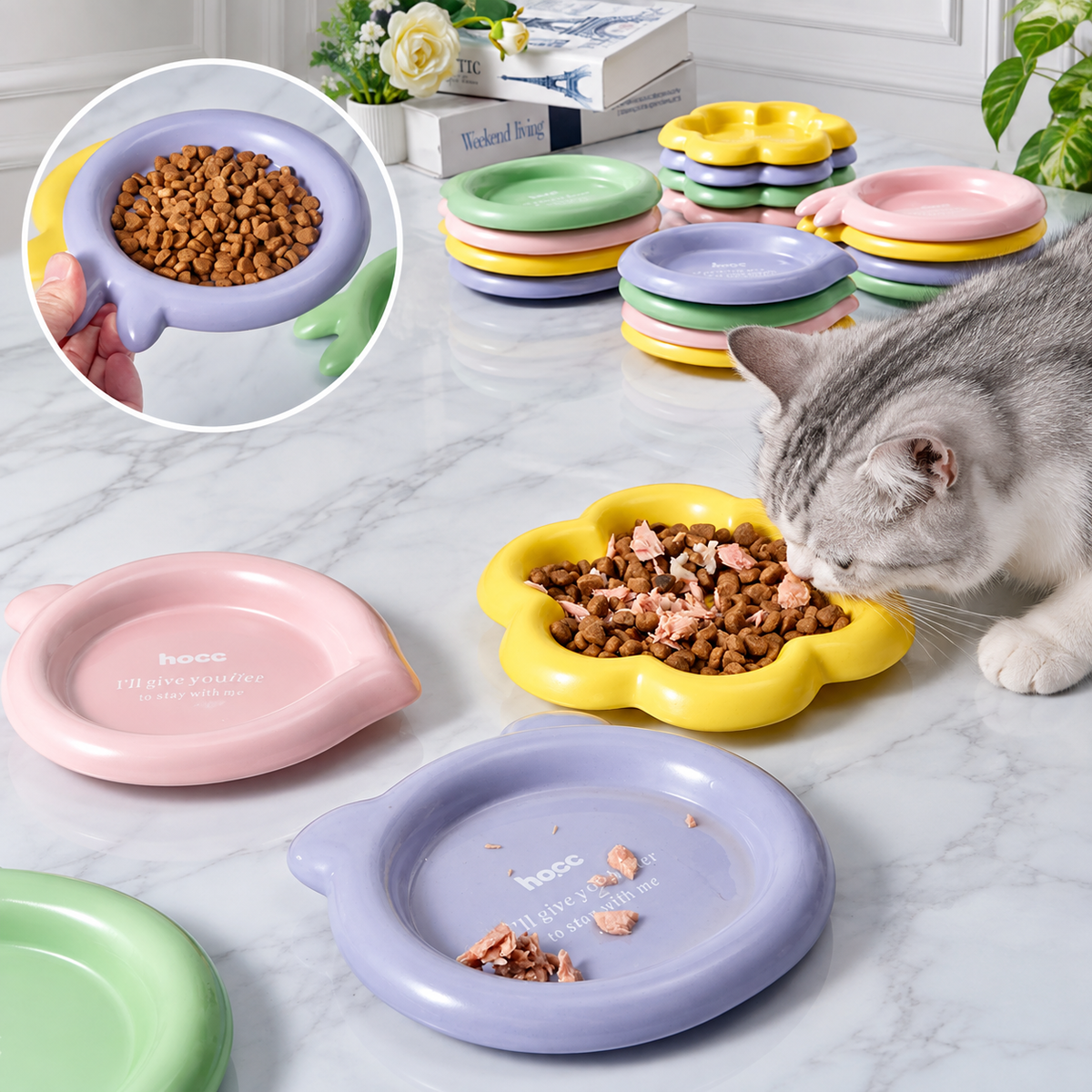 Colorful Ceramic Pet Plates | detail image 21 | square correction | FULL_FRAME_OUTPAINT_TEXT_LAYOUT_REBUILD | 20260919