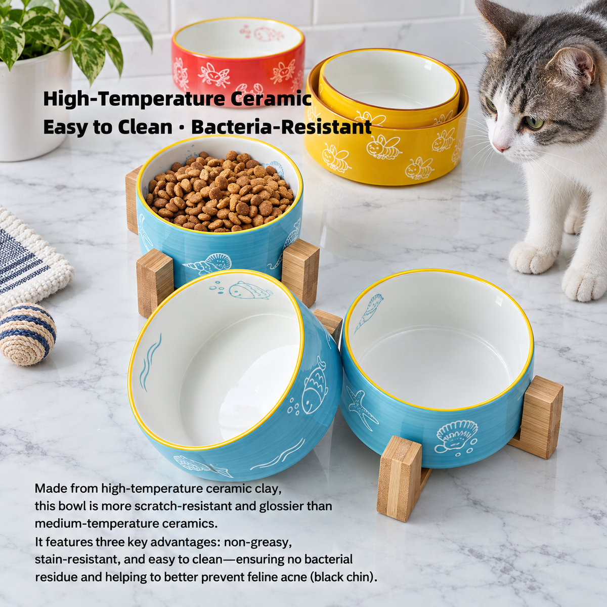 Color-Glazed Ceramic Bowl with Bamboo Stand | detail image 13 | square correction | FULL_FRAME_OUTPAINT_TEXT_LAYOUT_REBUILD | 20260919