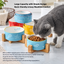 Color-Glazed Ceramic Bowl with Bamboo Stand | detail image 14 | square correction | FULL_FRAME_OUTPAINT_TEXT_LAYOUT_REBUILD | 20260919