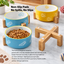 Color-Glazed Ceramic Bowl with Bamboo Stand | detail image 15 | square correction | FULL_FRAME_OUTPAINT_TEXT_LAYOUT_REBUILD | 20260919