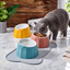 Volcano Dual-Tone Ceramic Pet Bowl | detail image 10 | square correction | FULL_FRAME_OUTPAINT_TEXT_LAYOUT_REBUILD | 20260919
