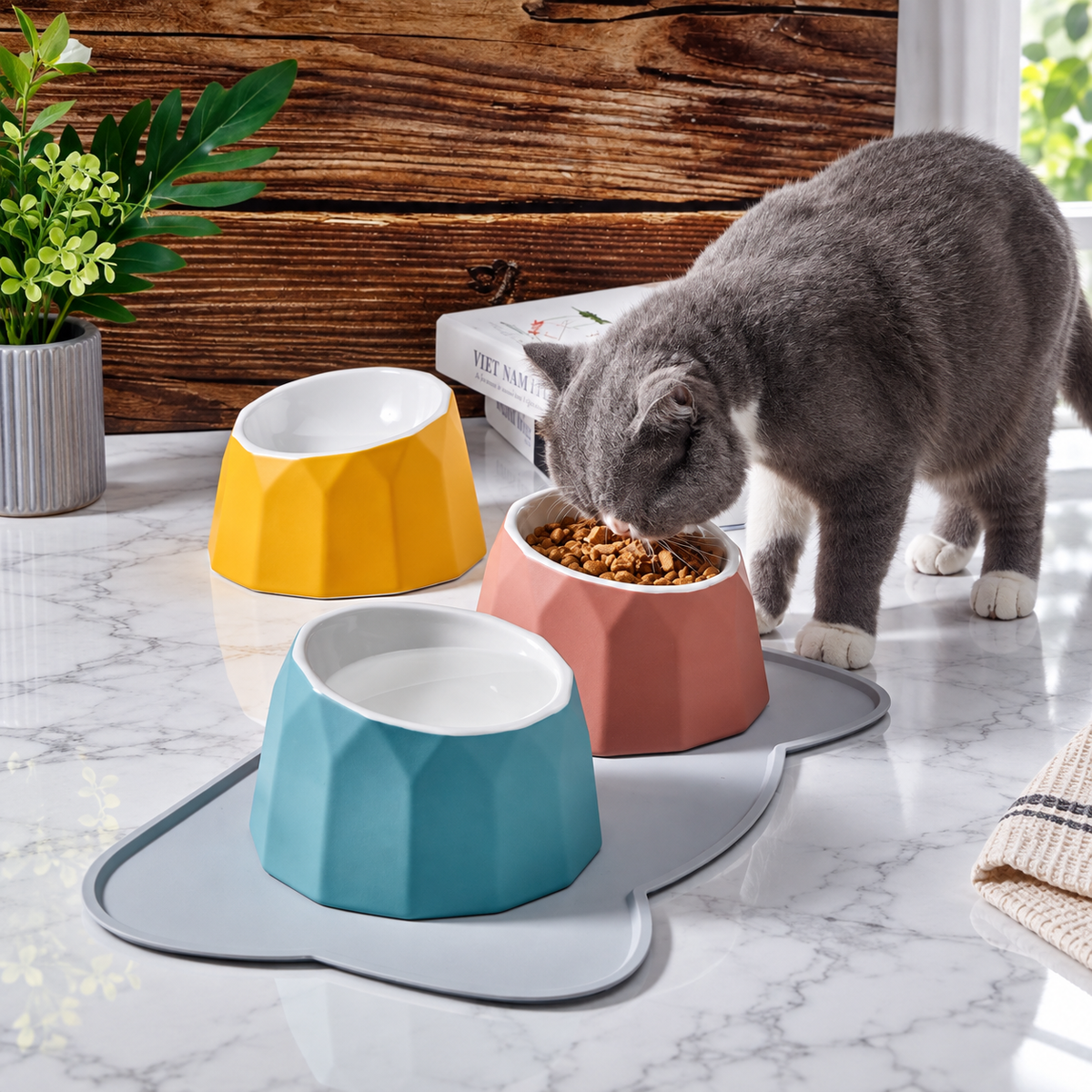Volcano Dual-Tone Ceramic Pet Bowl | detail image 10 | square correction | FULL_FRAME_OUTPAINT_TEXT_LAYOUT_REBUILD | 20260919