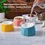 Volcano Dual-Tone Ceramic Pet Bowl | detail image 11 | square correction | FULL_FRAME_OUTPAINT_TEXT_LAYOUT_REBUILD | 20260919