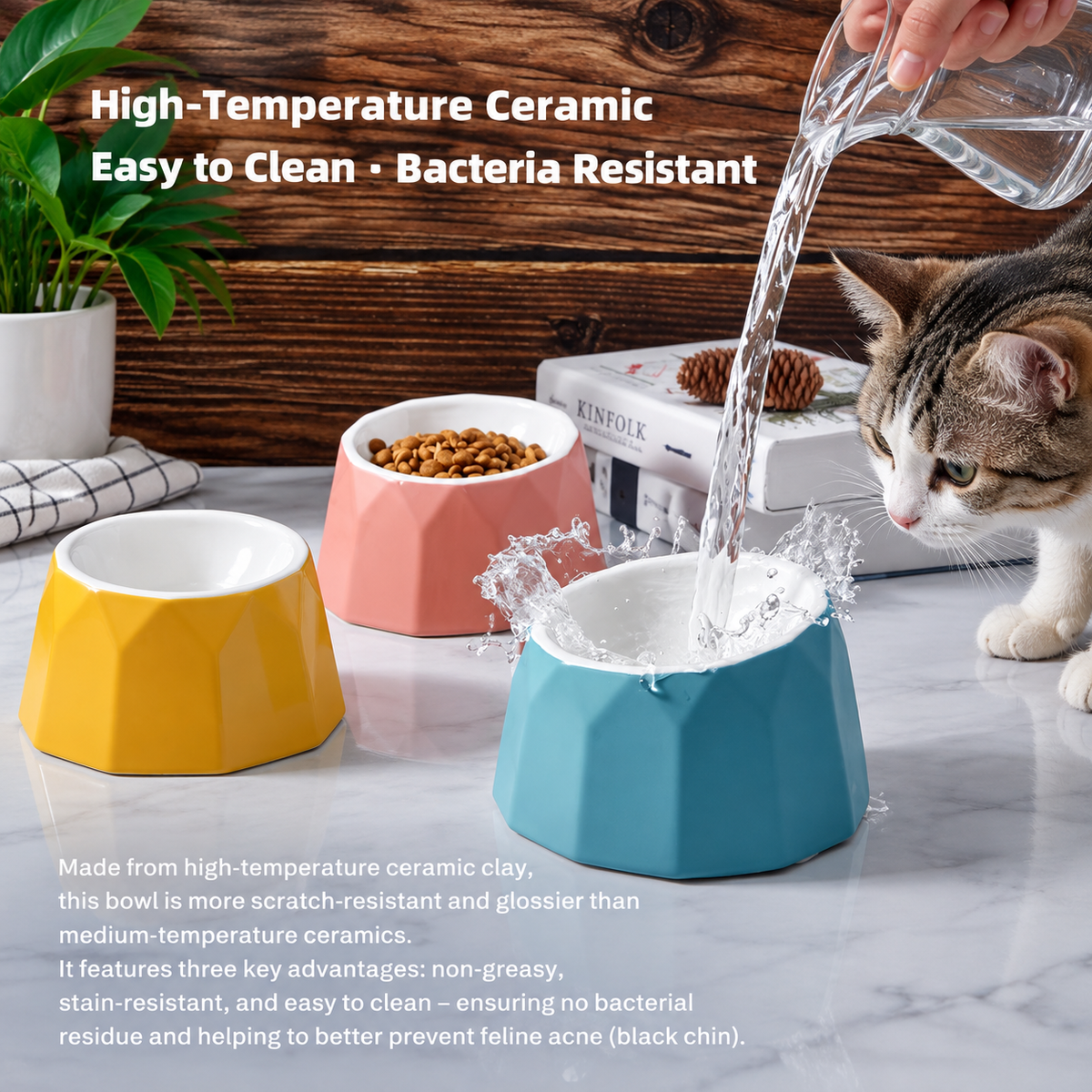 Volcano Dual-Tone Ceramic Pet Bowl | detail image 11 | square correction | FULL_FRAME_OUTPAINT_TEXT_LAYOUT_REBUILD | 20260919