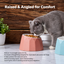 Volcano Dual-Tone Ceramic Pet Bowl | detail image 12 | square correction | FULL_FRAME_OUTPAINT_TEXT_LAYOUT_REBUILD | 20260919