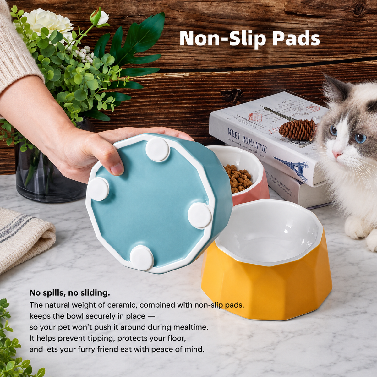 Volcano Dual-Tone Ceramic Pet Bowl | detail image 13 | square correction | FULL_FRAME_OUTPAINT_TEXT_LAYOUT_REBUILD | 20260919