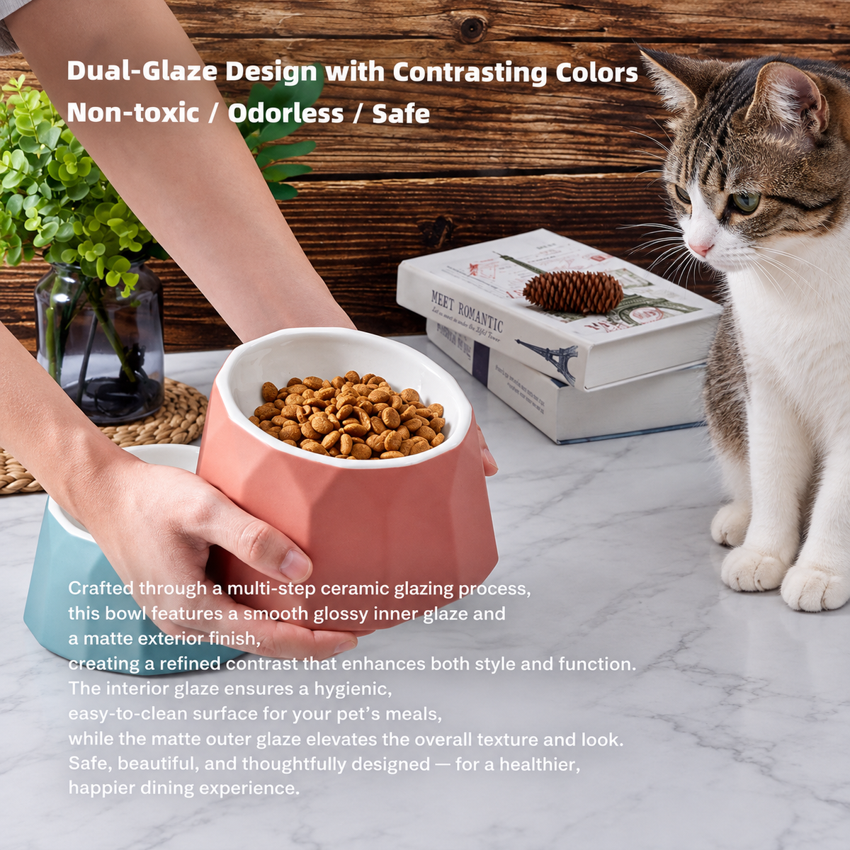 Volcano Dual-Tone Ceramic Pet Bowl | detail image 14 | square correction | FULL_FRAME_OUTPAINT_TEXT_LAYOUT_REBUILD | 20260919
