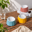 Volcano Dual-Tone Ceramic Pet Bowl | detail image 15 | square correction | FULL_FRAME_OUTPAINT_TEXT_LAYOUT_REBUILD | 20260919