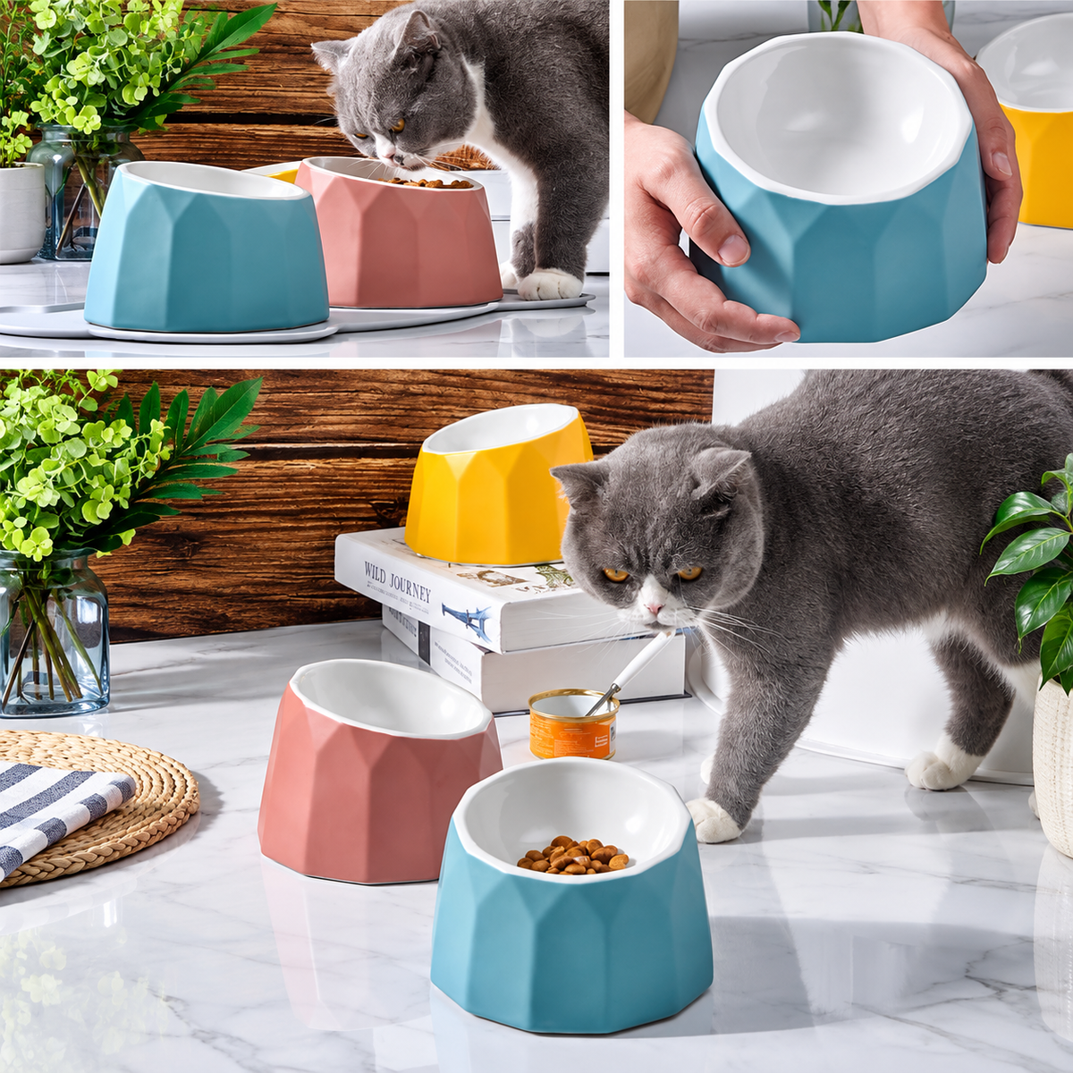 Volcano Dual-Tone Ceramic Pet Bowl | detail image 16 | square correction | FULL_FRAME_OUTPAINT_TEXT_LAYOUT_REBUILD | 20260919