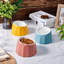Volcano Dual-Tone Ceramic Pet Bowl | detail image 17 | square correction | FULL_FRAME_OUTPAINT_TEXT_LAYOUT_REBUILD | 20260919