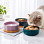 Elegant Ceramic Pet Bowl with Oak Base | detail image 10 | square correction | FULL_FRAME_OUTPAINT_TEXT_LAYOUT_REBUILD | 20260919