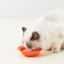 Merry Pet macaron bone china pet bowl in use with a cat - orange bowl feeding scene - 1:1
