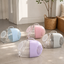 MOBOLI Capsule Pet Carrier shared lifestyle scene [Gallery: Shared]