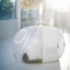 MOBOLI Capsule Pet Carrier clean product image [Gallery: Shared]