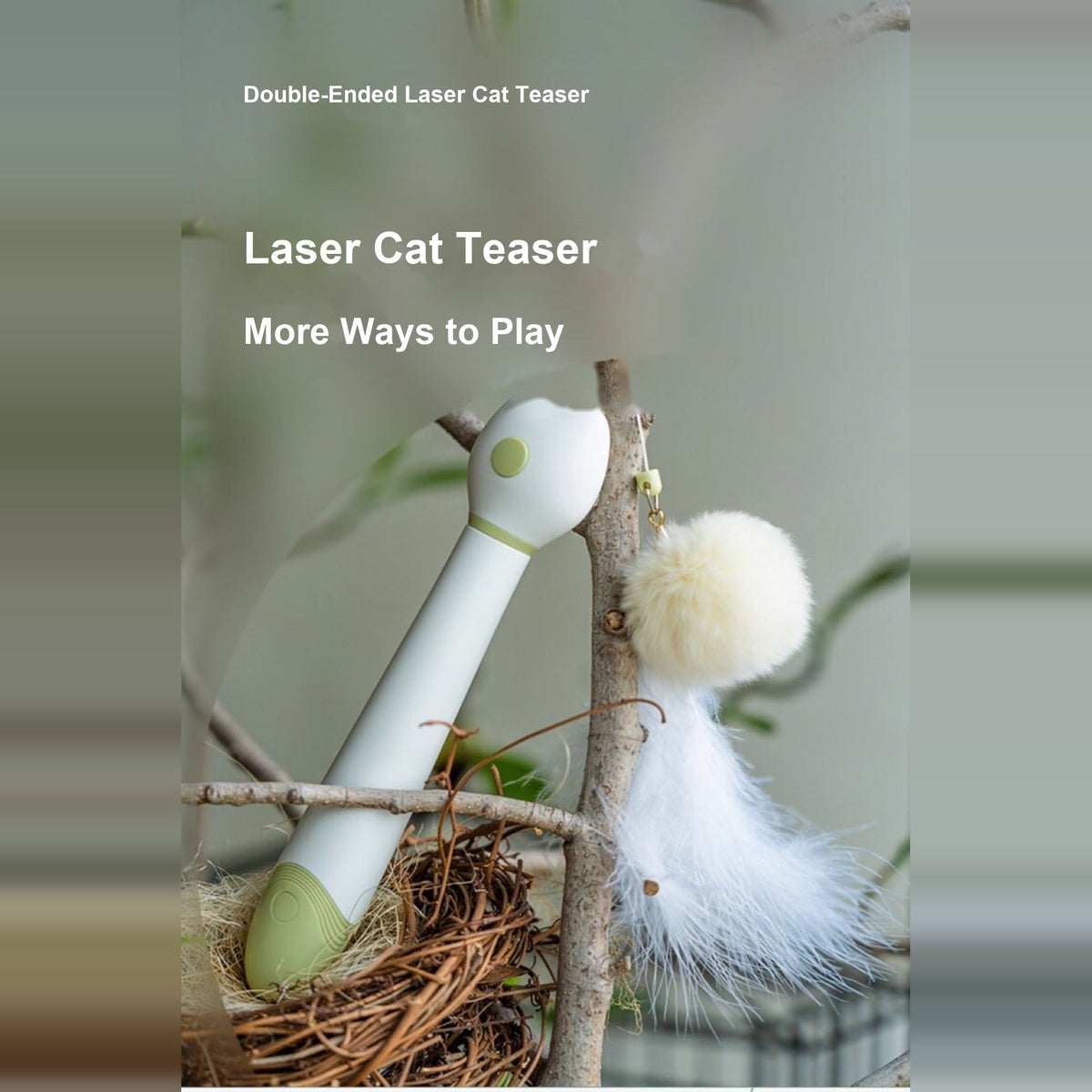 Aiwo multifunctional cat teaser - English corrected detail v8 module 01 of 14