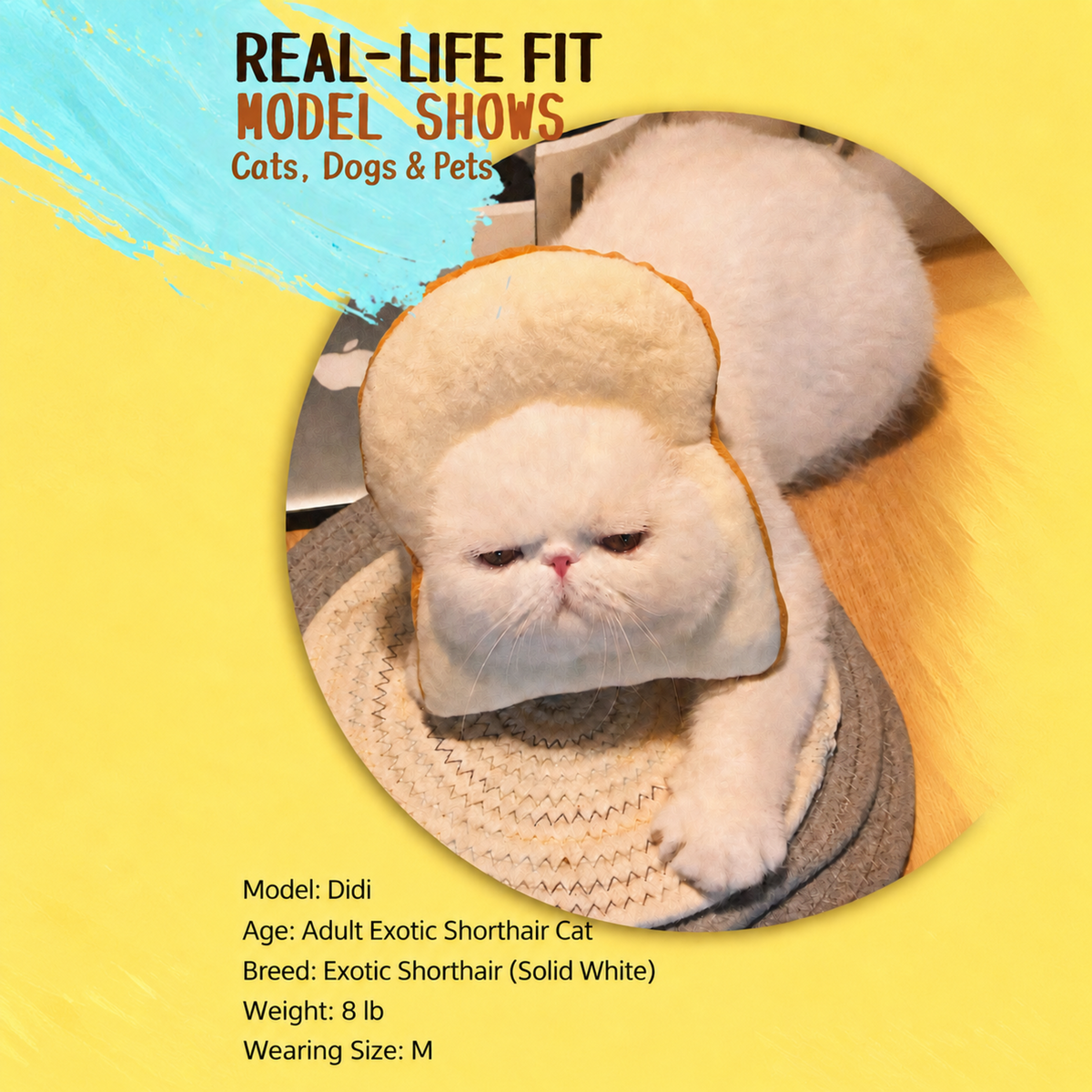 Bigger Fish Toast Cat Elizabeth Collar - revised detail module 02 of 06 - English 1x1 layout-faithful v4