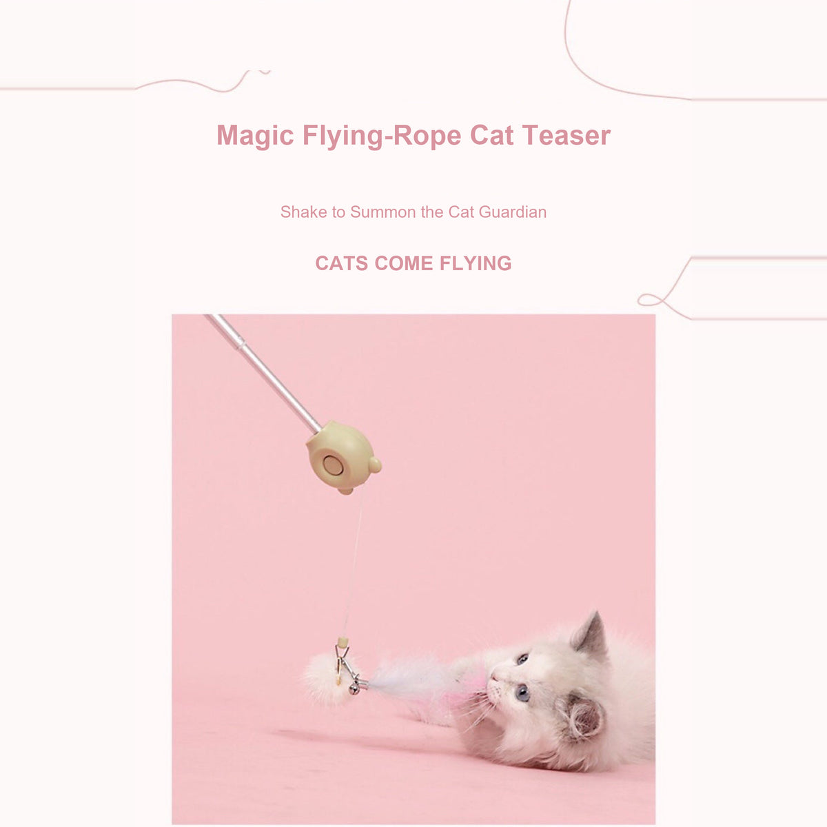 Aiwo Panda Laser Cat Teaser - English 1x1 detail module 2 v4