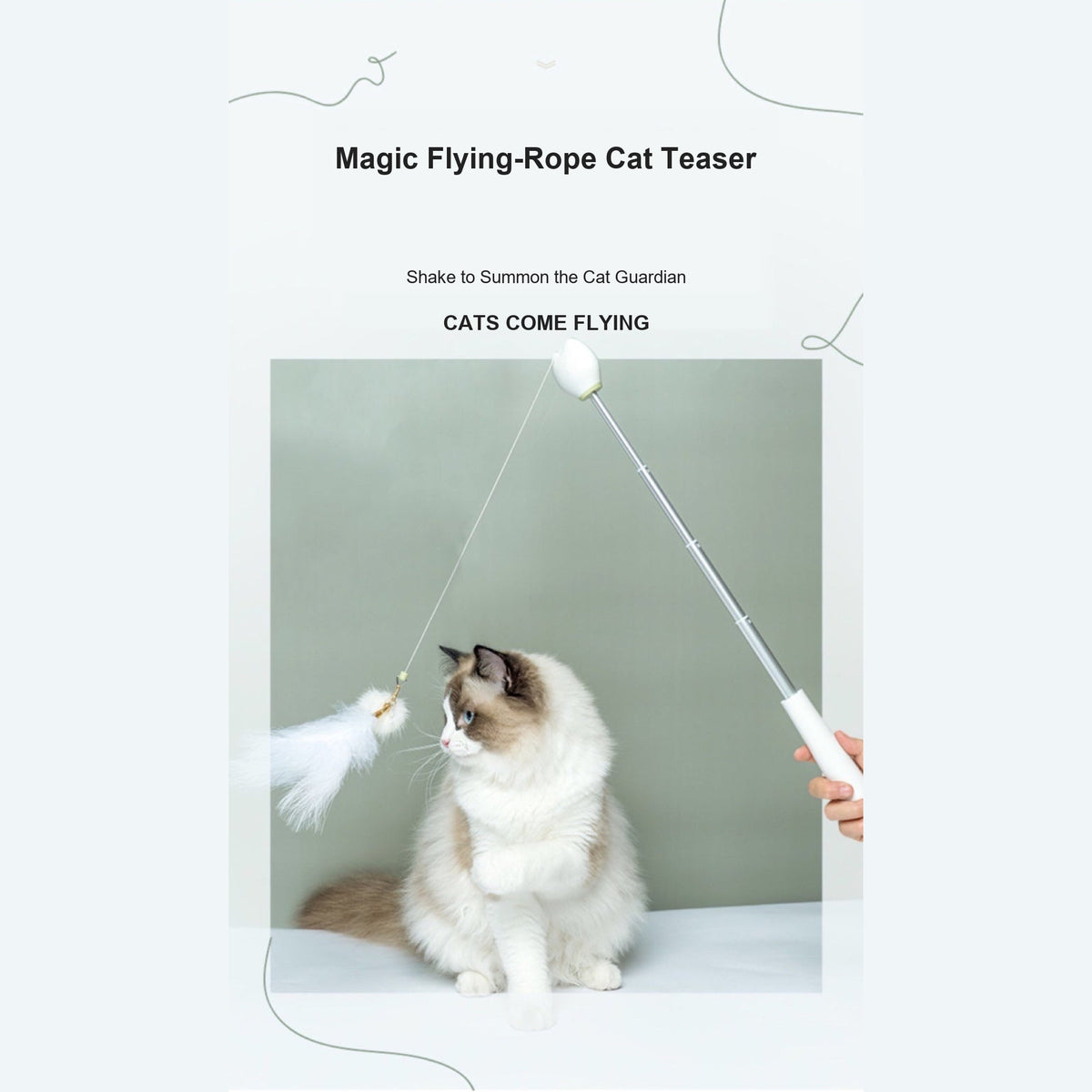 Aiwo multifunctional cat teaser - English corrected detail v7 module 02 of 14