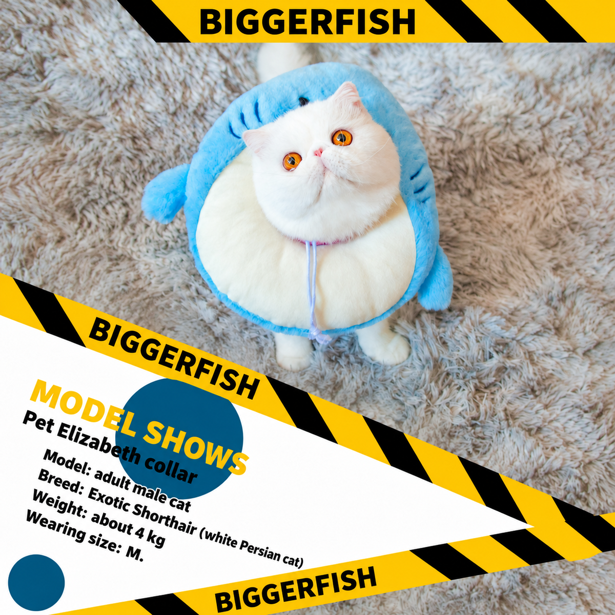 Bigger Fish Shark Elizabeth Collar - English translated detail module 2