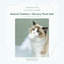 Aiwo multifunctional cat teaser - English corrected detail v10 patterned frame module 03 of 14