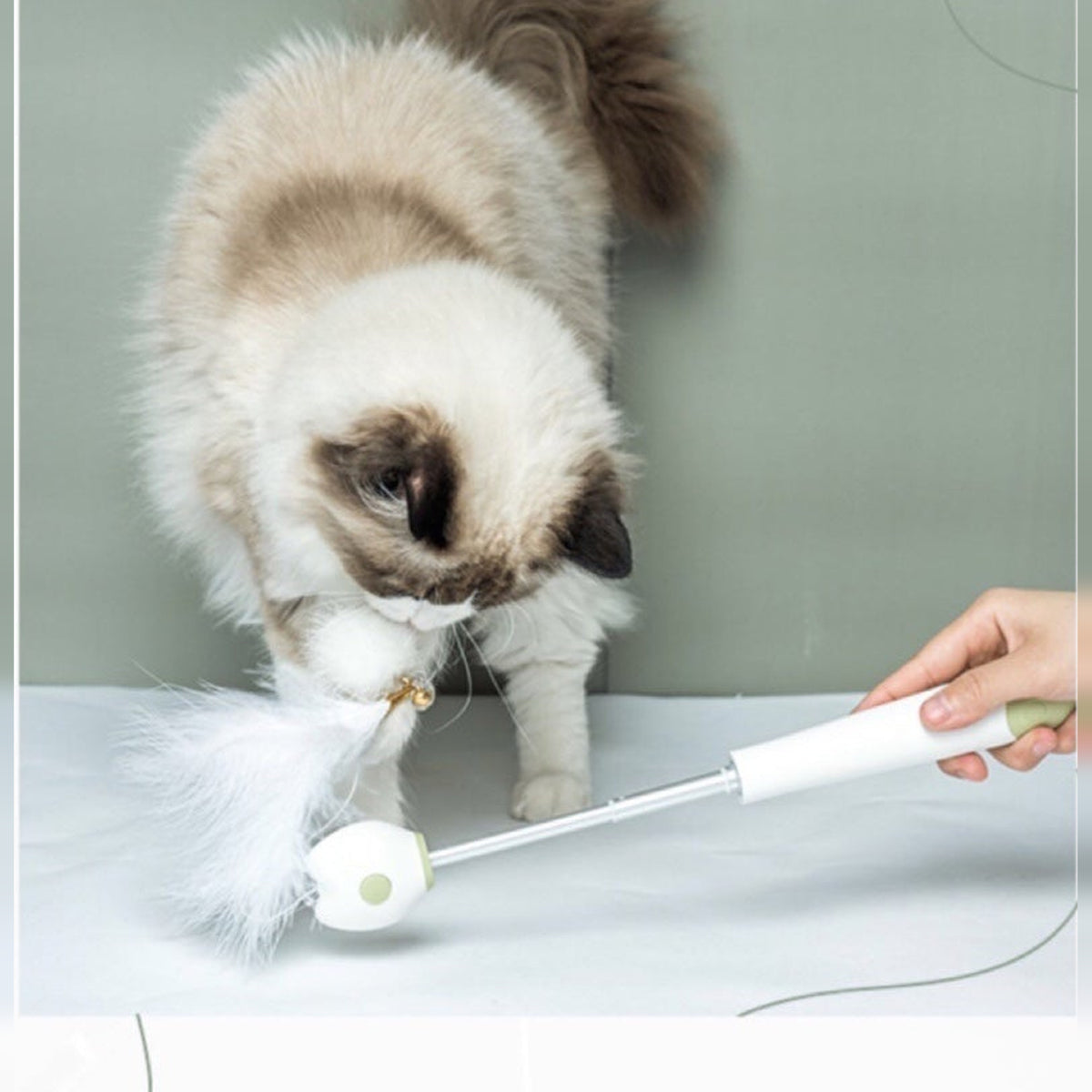 Aiwo multifunctional cat teaser - English corrected detail v7 module 08 of 14