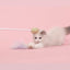 Aiwo Panda Laser Cat Teaser - English 1x1 detail module 9 v4