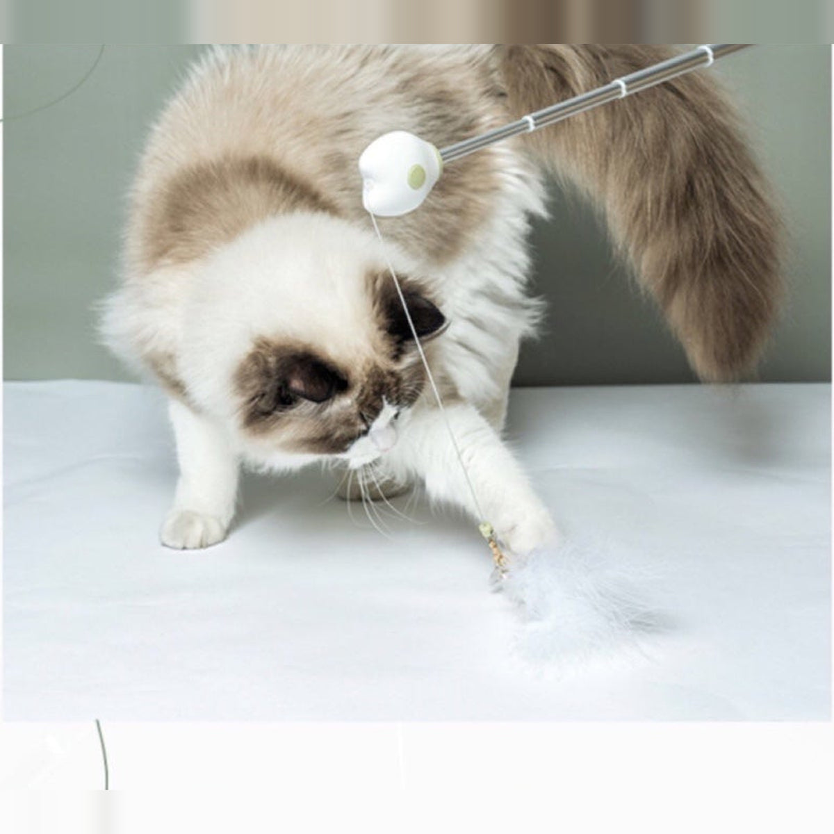Aiwo multifunctional cat teaser - English corrected detail v7 module 09 of 14