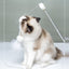 Aiwo multifunctional cat teaser - English corrected detail v7 module 10 of 14