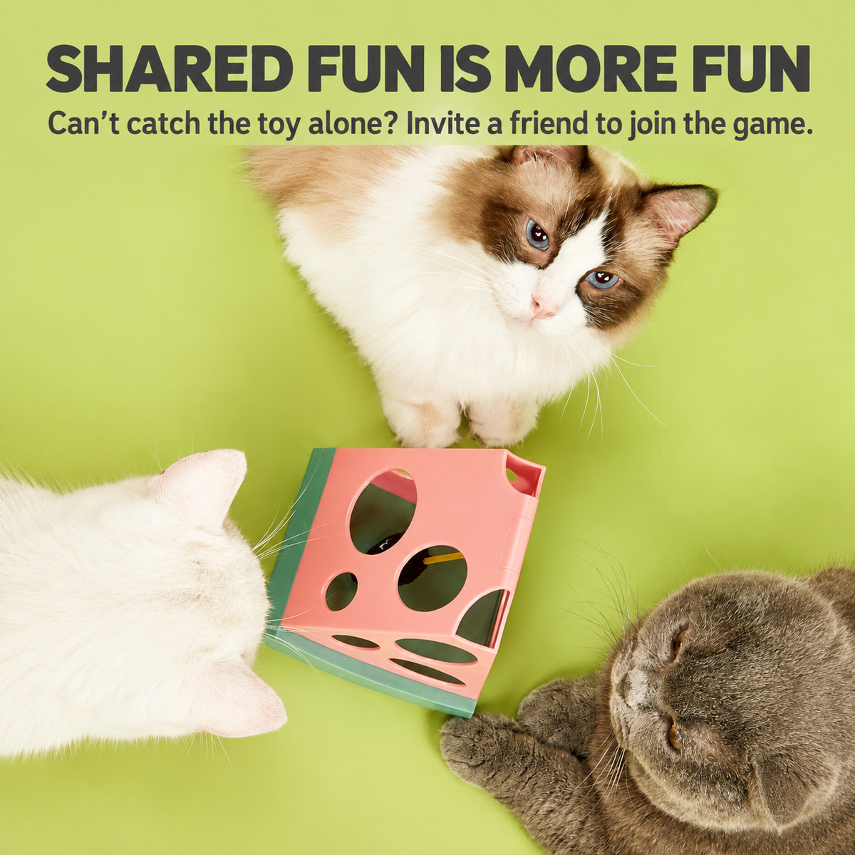 FOFOS Magic Watermelon interactive cat toy - English detail module 10