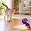 Paw-shaped cat laser toy cat play indoor usage scene [New usage scene]