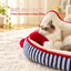 Indoor Cat Bed Warm Soft Comfortable Cute Design Washable Plush Pet Bed Dog Calming Bed Indoor Cat Bed Indoor Pet Bed Washable Dog Bed for Autumn Winter | source image 03 | content-safe square revision | TEXT_LAYOUT_REBUILD | textLayer=transparent-overlay-rebuilt | 20260920-v6