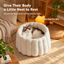The Healing Rice Ball Pet Nest  PET BAD | source image 01 | content-safe square revision | TEXT_LAYOUT_REBUILD | textLayer=transparent-overlay-rebuilt | 20260920-v6