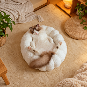 The Healing Rice Ball Pet Nest  PET BAD | source image 13 | content-safe square revision | FULL_FRAME_OUTPAINT | textLayer=none | 20260920-v6