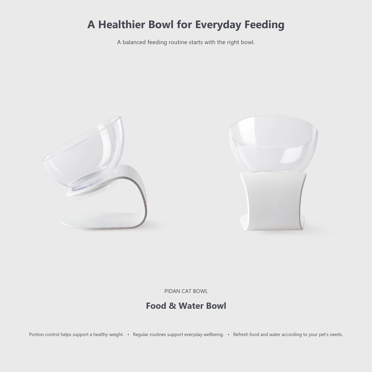 PIDAN elevated angled pet bowl everyday feeding information