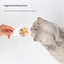 PIDAN Q-shaped cat feeding spoon suggested feeding amount full frame outpaint
