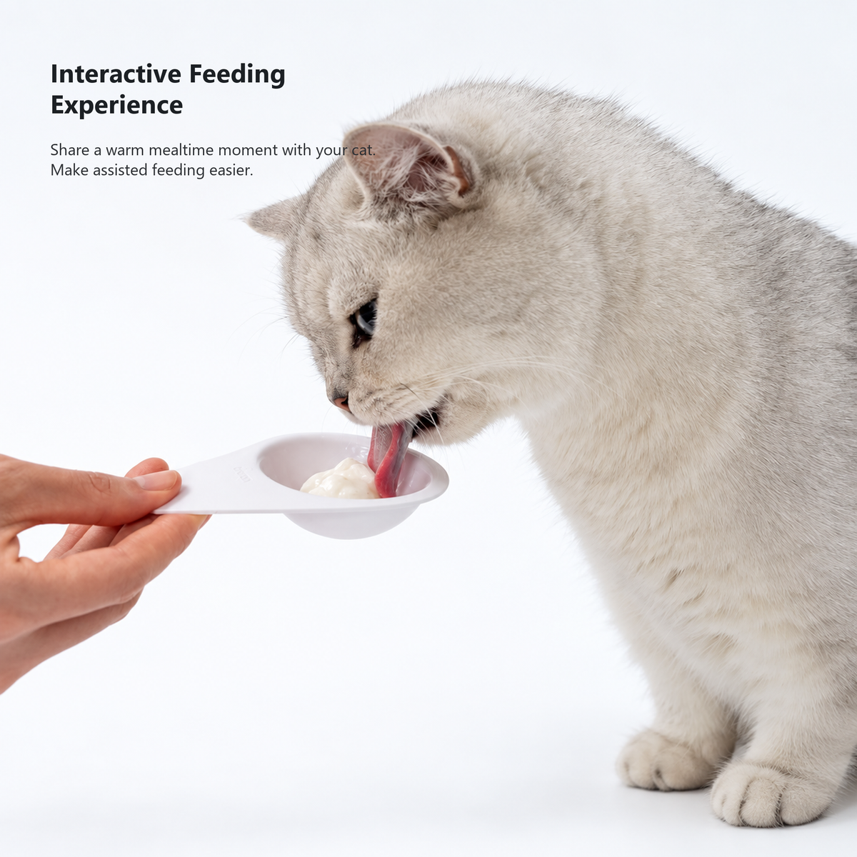 PIDAN Q-shaped cat feeding spoon interactive assisted feeding full frame outpaint