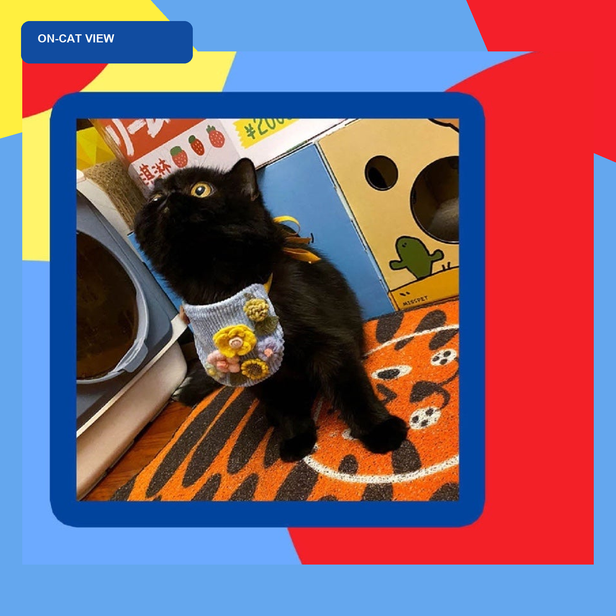 Black cat wearing a blue floral pet bib scarf