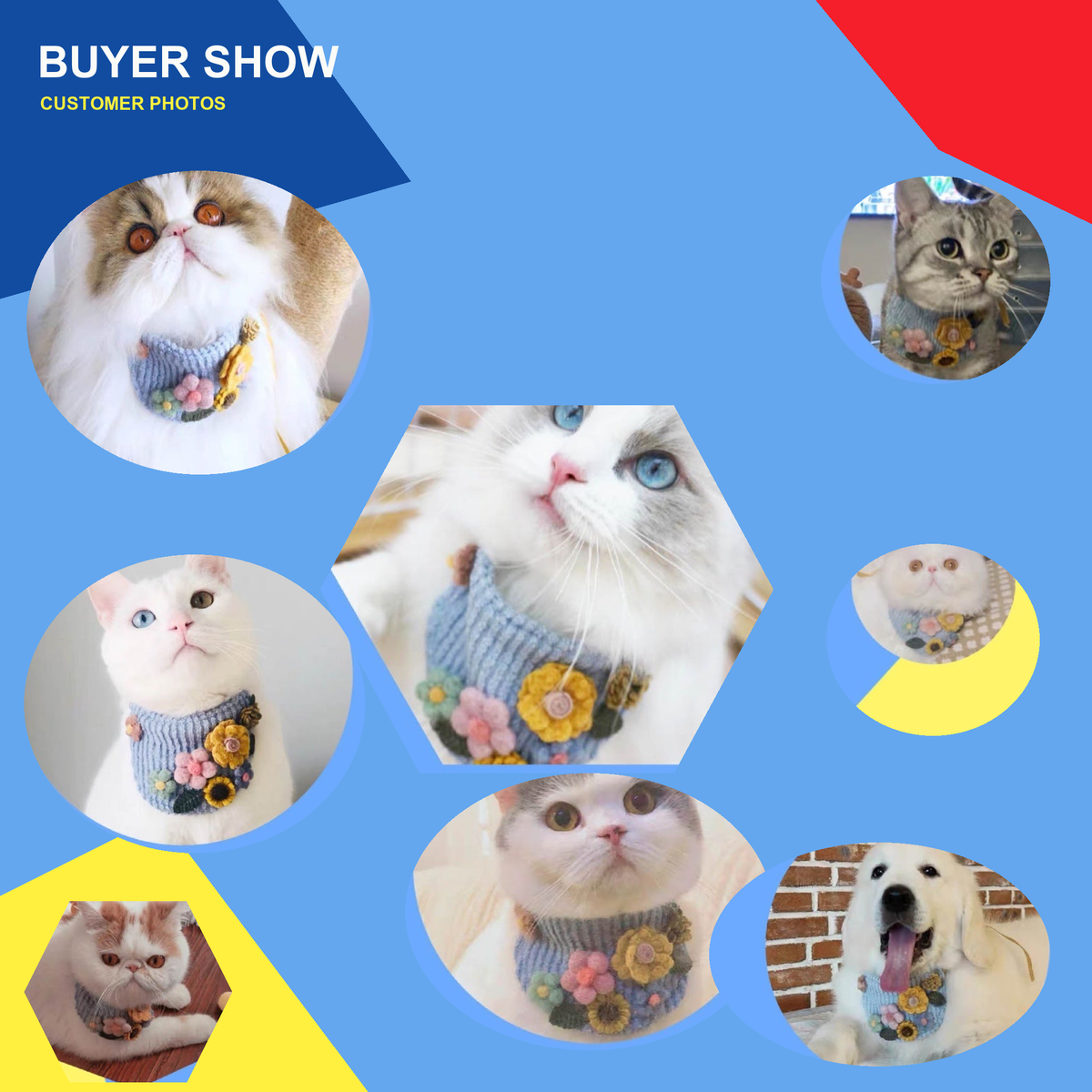 Customer photos of cats and dogs wearing a blue floral pet bib scarf